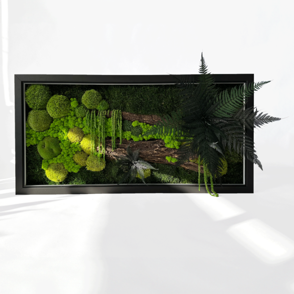 Preserved moss picture Moderna 120×60 cm(Customized)