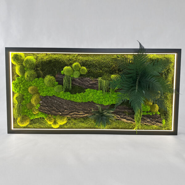 Dekoracja z mchu z podświetleniem LED – obraz ścienny z naturalnych roślin w nowoczesnej ramie