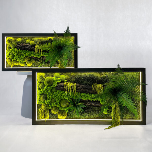 obraz z mchu i paproci z podświetleniem LED – naturalna dekoracja ścienna, ręcznie wykonana